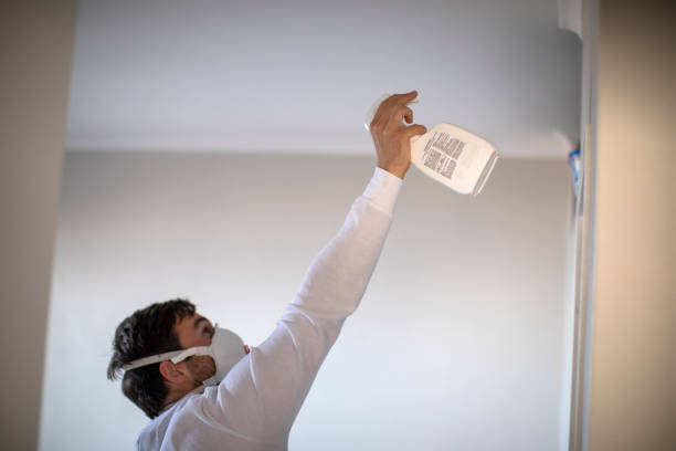 Best Emergency Mold Removal  in Colby, WI